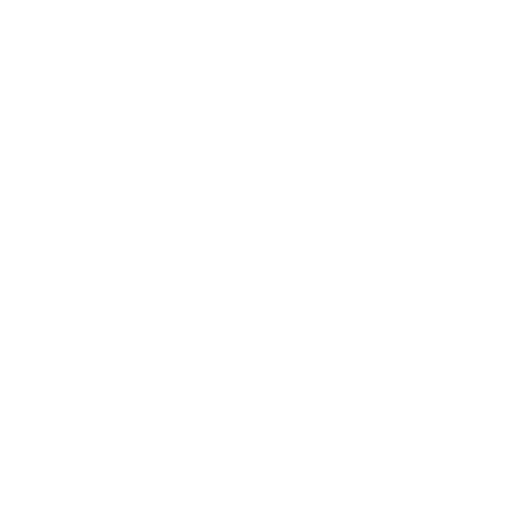 ePay icon